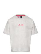 J Sw Zne T Tops T-shirts Short-sleeved Grey Adidas Sportswear