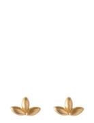 Whisper Earsticks Accessories Jewellery Earrings Studs Gold Pernille C...