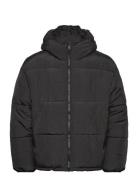 Puffer Jacket Vuorillinen Takki Topattu Takki Black Weekday