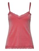 Cami Velours Scallop Lace Toppi Red Hunkemöller