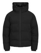 Jjpayne Puffer Jacket Vuorillinen Takki Topattu Takki Black Jack & J S