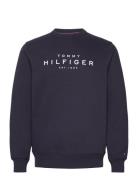 Tommy Hilfiger Sweatshirt Tops T-shirts Long-sleeved Navy Tommy Hilfig...