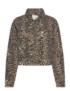 Leopard-Print Denim Jacket Farkkutakki Denimtakki Brown Mango