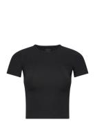 Smooth Tee Toppi Black Organic Basics