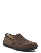 U M R V Loaferit Matalat Kengät Beige GEOX