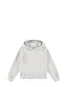 Minelli Tops Sweat-shirts & Hoodies Hoodies Grey Molo