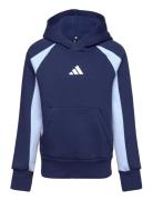 J Cb Fl Hd Sport Sweat-shirts & Hoodies Hoodies Blue Adidas Sportswear