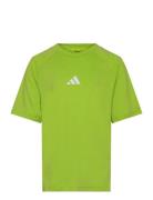 J Gt Pz Tee Sport T-shirts Short-sleeved Green Adidas Sportswear