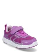 Perry Pax Matalavartiset Sneakerit Tennarit Purple PAX