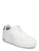 Basket Cupsole Low Mg Matalavartiset Sneakerit Tennarit White Calvin K...