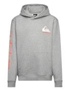 Omni Logo Hoodie Youth Tops Sweat-shirts & Hoodies Hoodies Grey Quiksi...