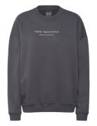 Serif Sweatshirt Sport Sweat-shirts & Hoodies Sweat-shirts Grey Aim´n