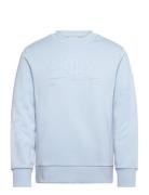 Reg Tonal Shield Cneck Sweat Tops Sweat-shirts & Hoodies Sweat-shirts ...