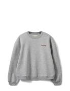 Elisw Sweatshirt Tops Sweat-shirts & Hoodies Sweat-shirts Grey Sofie S...