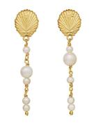 Marylyn Earrings Korvakoru Korut Gold Maanesten