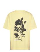 Cotton Jersey Dassel Tee Tops T-shirts & Tops Short-sleeved Yellow Mad...