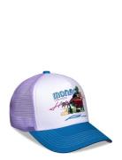 Monaco Accessories Headwear Caps Purple Pica Pica