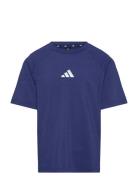 J Gt Pz Tee Tops T-shirts Short-sleeved Blue Adidas Sportswear