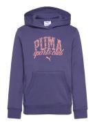 Puma Class Hoodie Tr G Sport Sweat-shirts & Hoodies Hoodies Blue PUMA