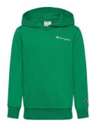 Hooded Sweatshirt Tops Sweat-shirts & Hoodies Hoodies Green Champion