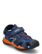 J Borealis Boy C Shoes Summer Shoes Sandals Blue GEOX