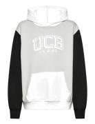 Sweater W/Hood Tops Sweat-shirts & Hoodies Hoodies Grey United Colors ...