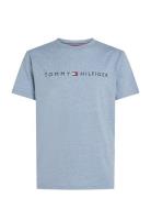 Ss Tee Tops T-shirts Short-sleeved Blue Tommy Hilfiger