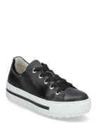 Sneaker Matalavartiset Sneakerit Tennarit Black Gabor