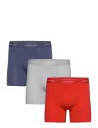 Boxer Brief 3Pk Bokserit Multi/patterned Calvin Klein