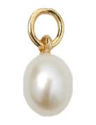 Beloved Pearl Pendant Kaulakoru Riipukset Gold Syster P