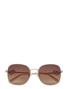 Le Sustain - Metamorphosis Aurinkolasit Brown Le Specs