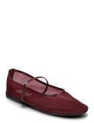 Mash Balerina Ballerinat Burgundy Steve Madden