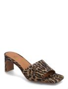 Sandals Korolliset Sandaalit Brown Billi Bi
