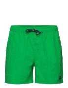 Leisure Swim Shorts Uimashortsit Green H2O