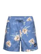 Everyday Straight Volley Yth14 Uimashortsit Blue Quiksilver