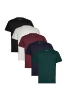 Icon T Shirt 5 Pack Tops T-shirts Short-sleeved Multi/patterned Hollis...