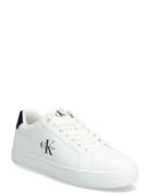 Classic Cupsole Mono Lth Matalavartiset Sneakerit Tennarit White Calvi...