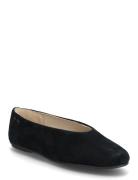 Ballerina Round Hw Sue Ballerinat Black Calvin Klein