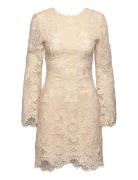 Imani Guipure Lace Mini Dress Lyhyt Mekko Cream Malina