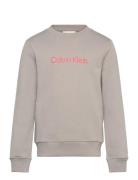 Inst. Logo Regular Cn Tops T-shirts Long-sleeved T-shirts Beige Calvin...