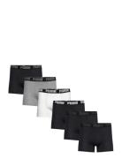 Puma Men Everyday Boxer 6P Ecom Bokserit Black PUMA