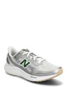 New Balance Freshfoam Arishi V4 Tiralux Sport Sport Shoes Running Shoe...