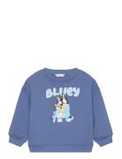 Bluey-Print Sweatshirt Tops Sweat-shirts & Hoodies Sweat-shirts Blue M...