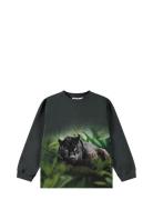 Rube Tops Sweat-shirts & Hoodies Sweat-shirts Green Molo