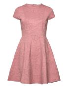 Clodaa Lyhyt Mekko Pink Ted Baker London