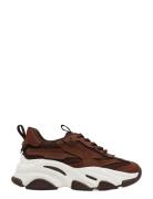 Possession-E Matalavartiset Sneakerit Tennarit Brown Steve Madden