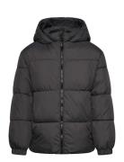 Hood Quilted Coat Toppatakki Black Mango