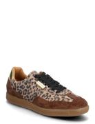 Emporia Matalavartiset Sneakerit Tennarit Brown Steve Madden