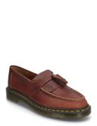 Adrian Ys Loaferit Matalat Kengät Brown Dr. Martens