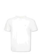 Ss Slim Stretch Cotton Crewnk Te Tops T-shirts Short-sleeved White Cal...